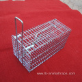 Rodent Rat Trap mouse trap cage for house